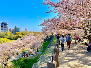 Maizuru Park