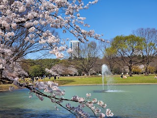 Parque Yoyogi