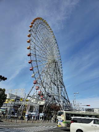 Tempozan Ferris Wheel