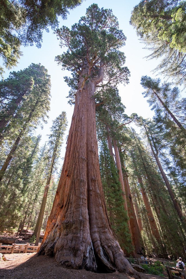 Sequoia National Park
