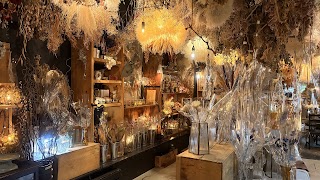 Shelter Cafe