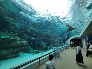 Port Of Nagoya Public Aquarium