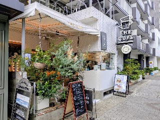 THE CUPS SAKAE